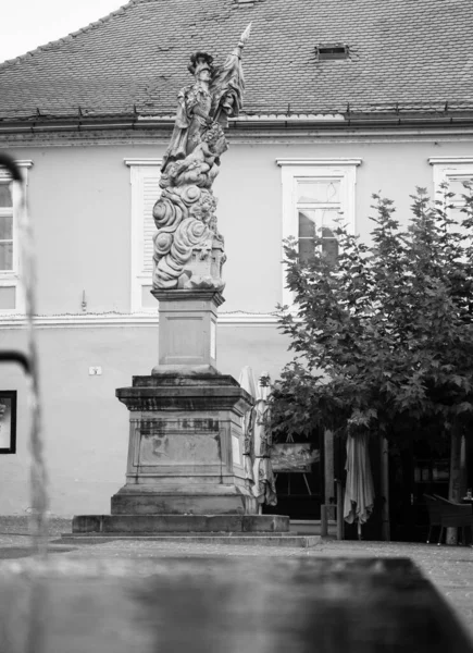 Uma Imagem Tons Cinza Estátua São Floriano Praça Central Ptuj — Fotografia de Stock