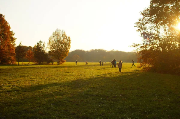 Citizens Enjoy Autumn Evening Sun Niddapark Frankfurt Important Green Space — Stock Photo, Image