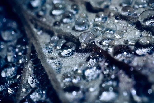 Macro Shot Water Droplets Leaf — Stock Photo, Image