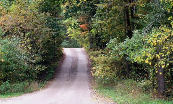 一条狭窄的小路被树木环绕着 — 图库照片