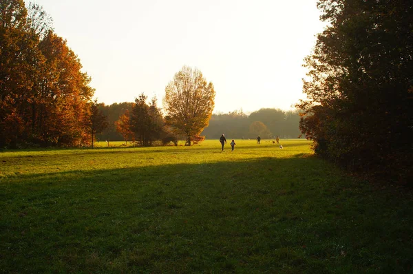 Los Ciudadanos Disfrutan Del Sol Otoño Por Noche Niddapark Frankfurt —  Fotos de Stock