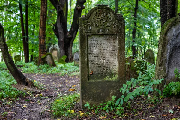 Židovský Hřbitov Lesku Polsko — Stock fotografie