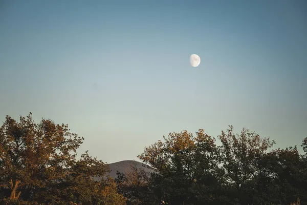 Uma Bela Vista Lua Iluminada Pelo Sol — Fotografia de Stock