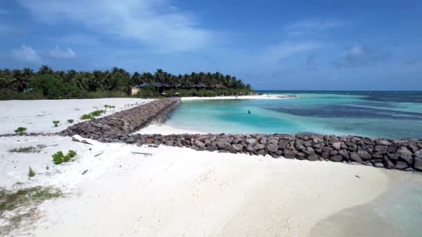 Une Belle Vue Sur Une Plage Mer — Video