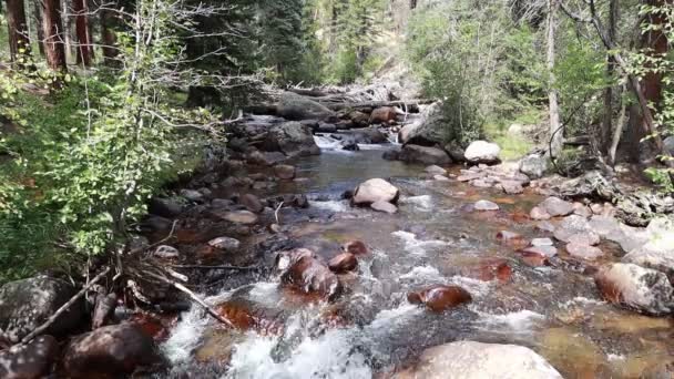 Piękne Krajobrazy Górskiego Potoku Rzeki — Wideo stockowe