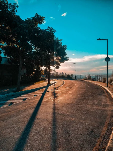 Belo Pôr Sol Atrás Rua Árvores — Fotografia de Stock