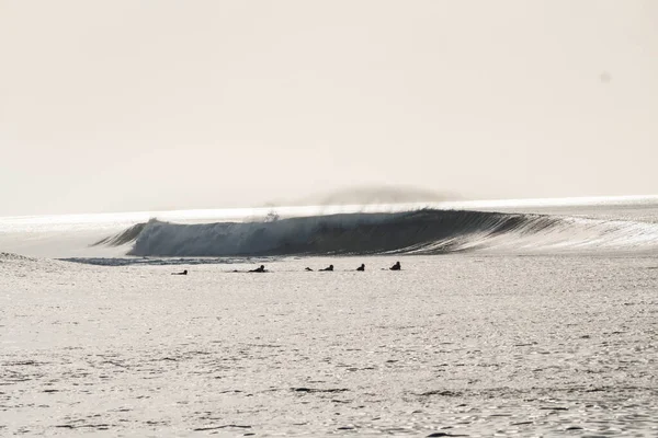 Grupo Surfistas Surfeando Las Olas Durante Día Soleado — Foto de Stock