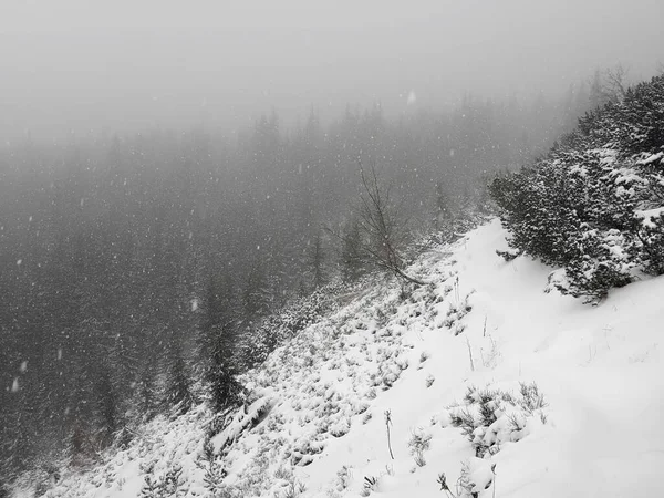 波兰塔特拉山一场大雪的灰度拍摄 — 图库照片