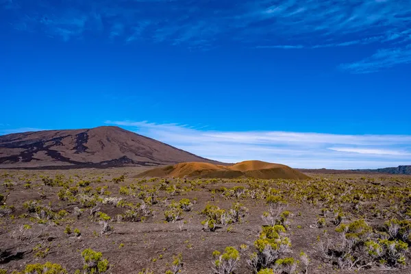 Formica Leo Ist Ein Kleiner Vulkankrater Des Piton Fournaise Réunion — Stockfoto
