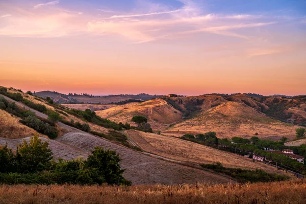 Sunset Flair Het Heuvelachtige Toscane Italië Uitzicht Vanuit Een Wijnhuis — Stockfoto