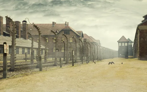 Museu Memorial Holocausto Rodeado Por Fios Farpados Campo Concentração Auschwitz — Fotografia de Stock