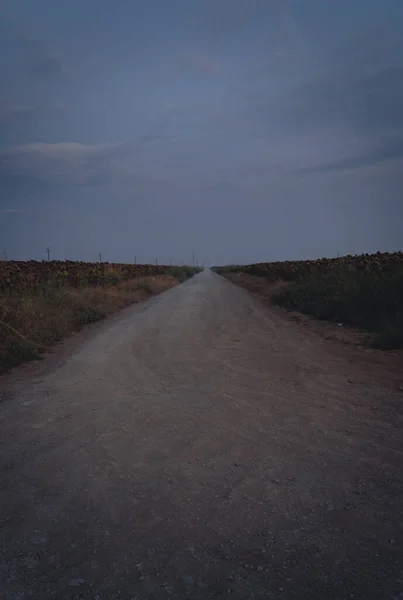 Una Toma Vertical Camino Mañana Verano Antes Del Amanecer Con —  Fotos de Stock