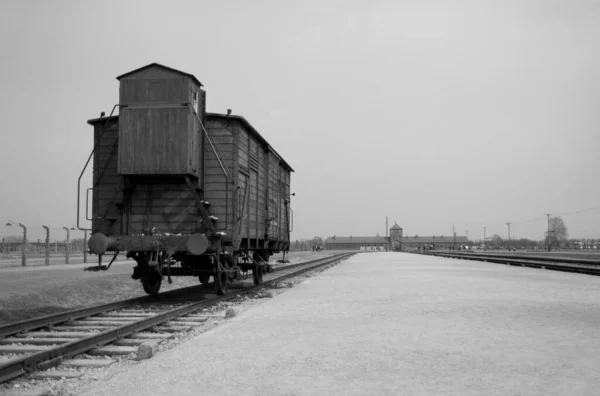 ポーランドのアウシュビッツ強制収容所の馬車と古い鉄道プラットフォームのグレースケールショット — ストック写真