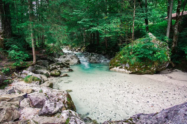 Krásný Výhled Řeku Lese Ramsau Berchtesgaden Bavorsko Turistické Hory Německo — Stock fotografie