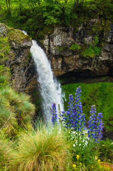 Kaunis Vesiputous Salins Cantal Ranskassa Luonnonpuisto Auvergne Tulivuoret — kuvapankkivalokuva