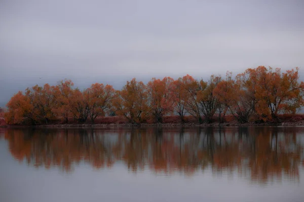 Деревья Падают Озеро Осенью — стоковое фото