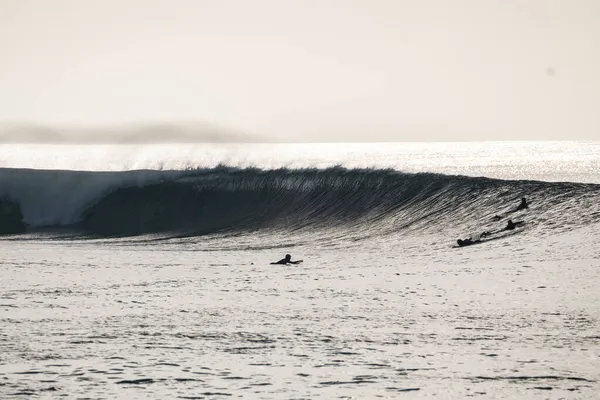 Een Groep Surfers Die Surfen Golven Tijdens Een Zonnige Dag — Stockfoto