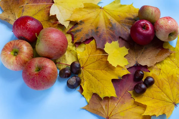 Красивая Осенняя Композиция Яблоками Каштанами Кленовыми Листьями Синем Фоне — стоковое фото