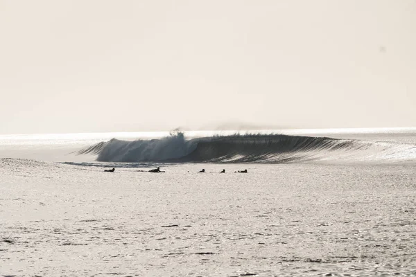 Group Surfers Surfing Waves Sunny Day — Stock Photo, Image