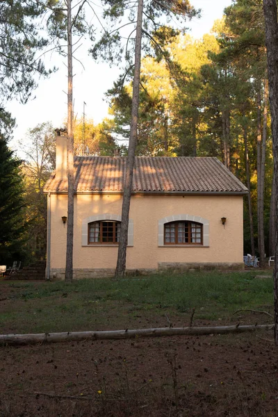 Plano Vertical Casa Rural Bosque — Foto de Stock