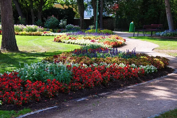 Camino Coloridos Macizos Flores Sol Parque Ciudad Wiener Neustadt Austria — Foto de Stock