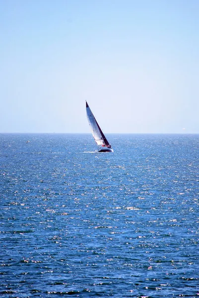 Denizde Hidrofolyo Yelkenli Bir Trimaran — Stok fotoğraf