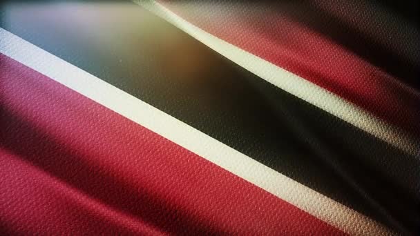 Trinidad Tobago Arka Plan Için Bayrak Sallıyorlar — Stok video