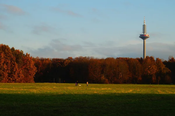 Atmosfera Outono Niddapark Frankfurt Famílias Passear Cães Torre Televisão Fundo — Fotografia de Stock