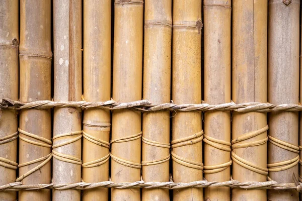 Bambu Vävd Till Väggen Ett Traditionellt Hus Salomonöarna — Stockfoto