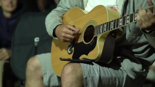 Homem Tocando Guitarra Parque — Vídeo de Stock