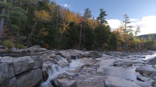 Bellissimo Scenario Del Ruscello Del Fiume Montagna — Video Stock