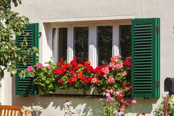 The flower box of red geraniums on a window in Germany