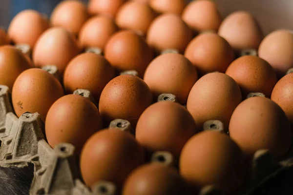 Een Close Shot Van Rauwe Biologische Gezonde Bruine Eieren Een — Stockfoto