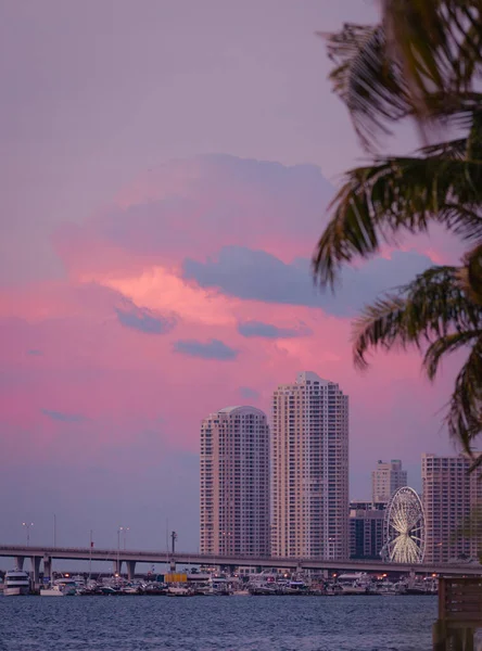 Een Verticaal Shot Van Hoge Gebouwen Van Miami Usa Bij — Stockfoto