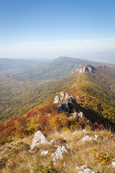 Vertikální Záběr Suché Hory Suva Planina Barevnými Keři Slunečného Dne — Stock fotografie