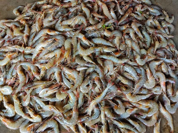 Deniz Ürünleri Pazarındaki Çiğ Karides Yığınının Üst Görüntüsü — Stok fotoğraf