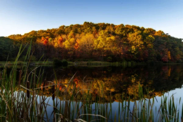 Klidný Rybník Nebo Jezero Proti Modré Obloze Podzim — Stock fotografie