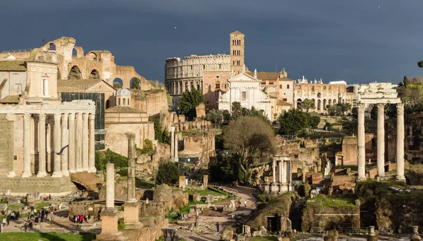 Schöne Szene Eines Kolosseums Rom Italien — Stockfoto