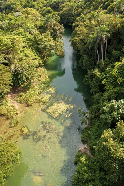 Der Canimar Fluss Der Provinz Matanzas Kuba — Stockfoto