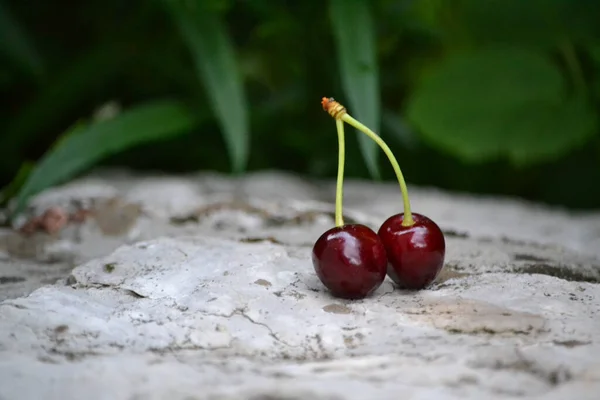 Uma Cereja Fresca Pedra — Fotografia de Stock