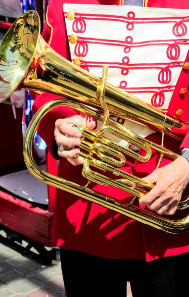 Eine Vertikale Aufnahme Eines Musikers Mit Dem Musikinstrument Horn — Stockfoto