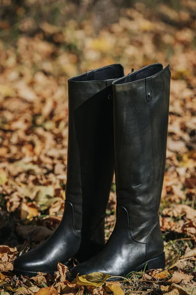 Een Verticaal Shot Van Zwarte Modieuze Laarzen Herfstbladeren Grond Gevallen — Stockfoto