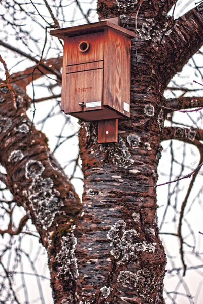 Eine Vertikale Aufnahme Eines Vogelhauses Auf Einem Baum Einem Park — Stockfoto