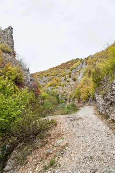 Fantastiska Levande Färger Höstens Träd Stenig Klippa Kanjon Gradasnicka Floden — Stockfoto