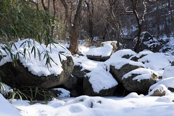 森林里被雪覆盖的石头构成的屏障 — 图库照片
