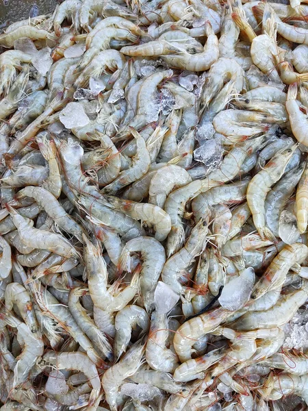 Texture Verticale Une Pile Crevettes Crues — Photo