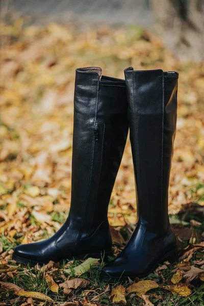 Een Verticaal Shot Van Zwarte Modieuze Laarzen Herfstbladeren Grond Gevallen — Stockfoto