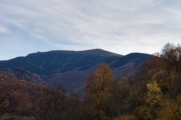 Der Alte Berg Mit Den Verbrannten Gebieten Nach Dem Waldbrand — Stockfoto