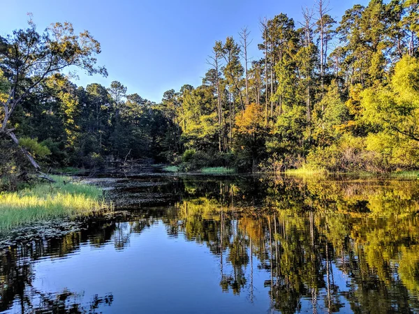 Belo Tiro Uma Paisagem Marinha Durante Dia Refletindo Árvores Perto — Fotografia de Stock