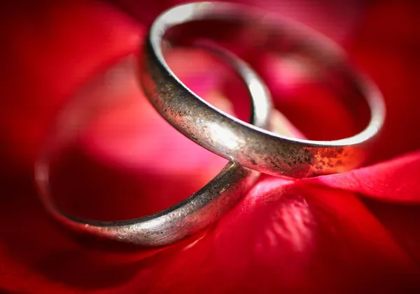 Tiro Seletivo Anéis Casamento Com Fundo Pétalas Flor Vermelha — Fotografia de Stock